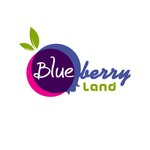 blueberry-land | بلوبيري لاند