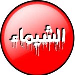 kebda-and-mokh-al-shaimaa | كبدة و مخ الشيماء 